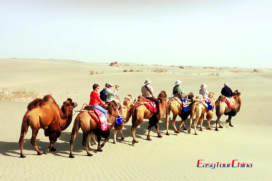 Camel Riding experience in Xinjiang's desert