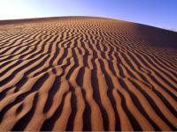 Amazing Desert Scenery
