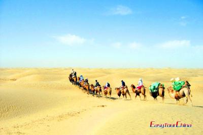Xinjiang Desert Exploration by Camel Ride