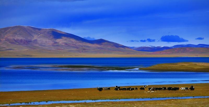 China Tibet Tours