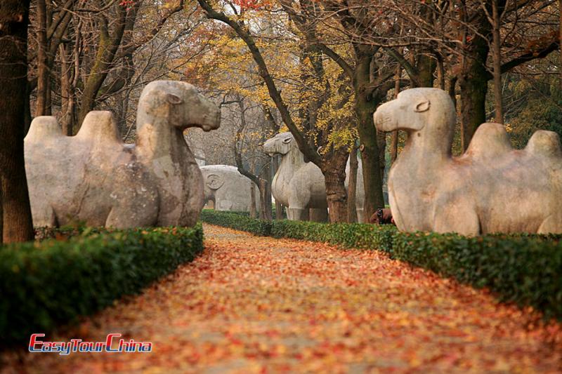 Ming Xiaoling Tomb Nanjing