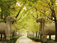 nanjing ming tombs