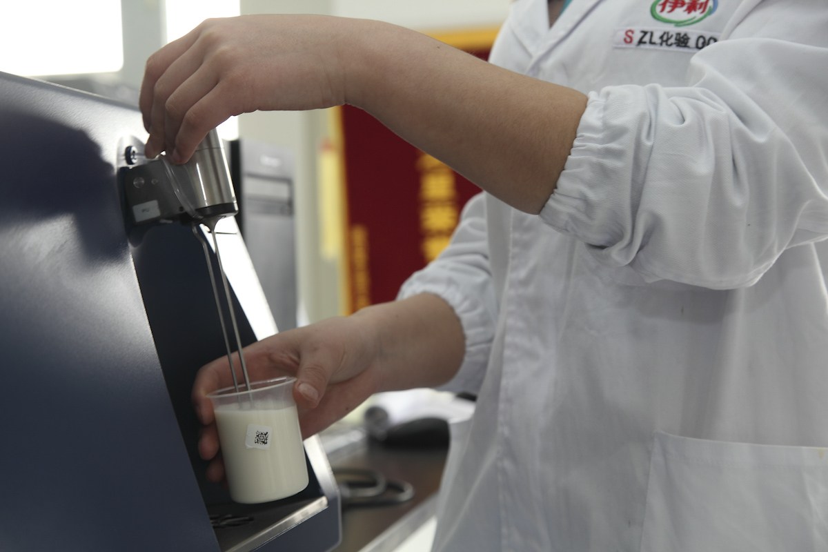 Raw Milk Testing at Tianjin Yili Dairy Co., Ltd, Tour to Tianjin, Tianjin Travel Easy Tour China