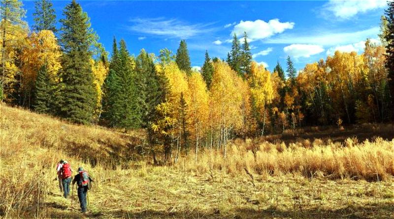 Xinjiang Kanas Hiking Tour