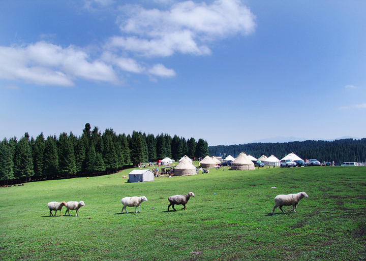 Mamsjam Grassland of Tianshan Mountain