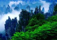 Excursion to Avatar Hallelujah Mountain in China