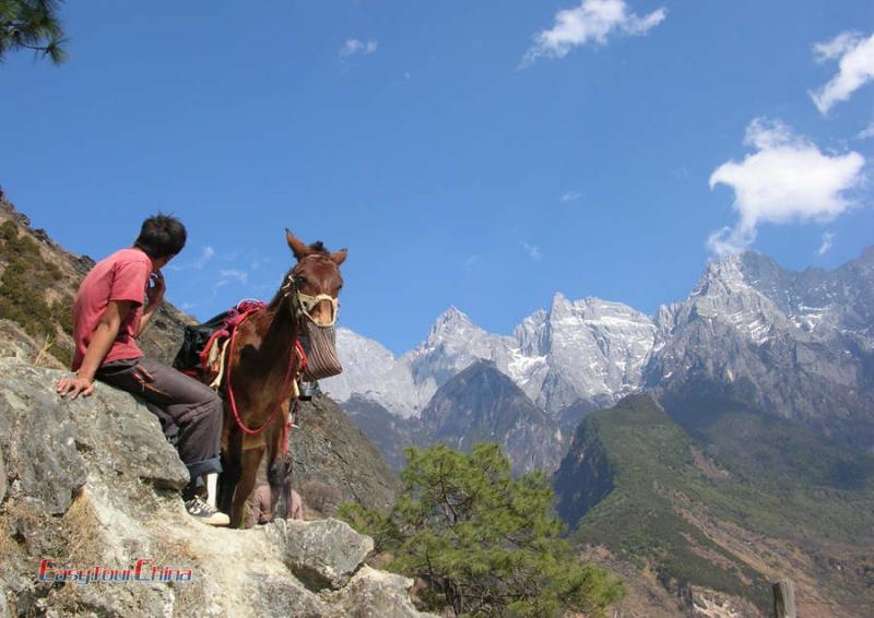 Eighteen Oddities in Yunnan - the small horses