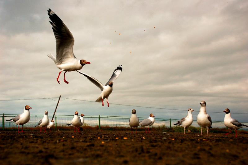 Biking around Qinghai Lake