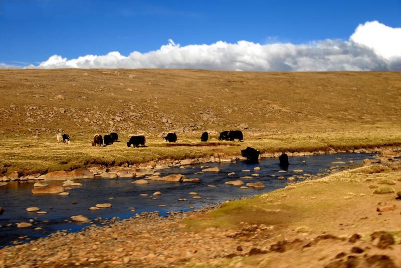 Biking to Tibet