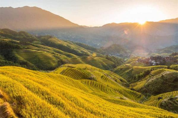 Top destinations in China for Photographers: rice terraces