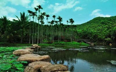 8.	Jianfengling National Tropical Rainforest Park