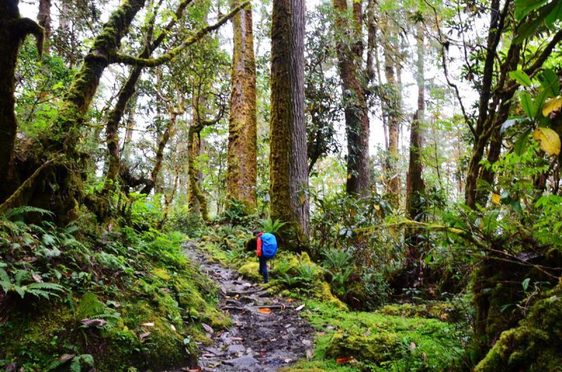 Trekking in Metog Tibet