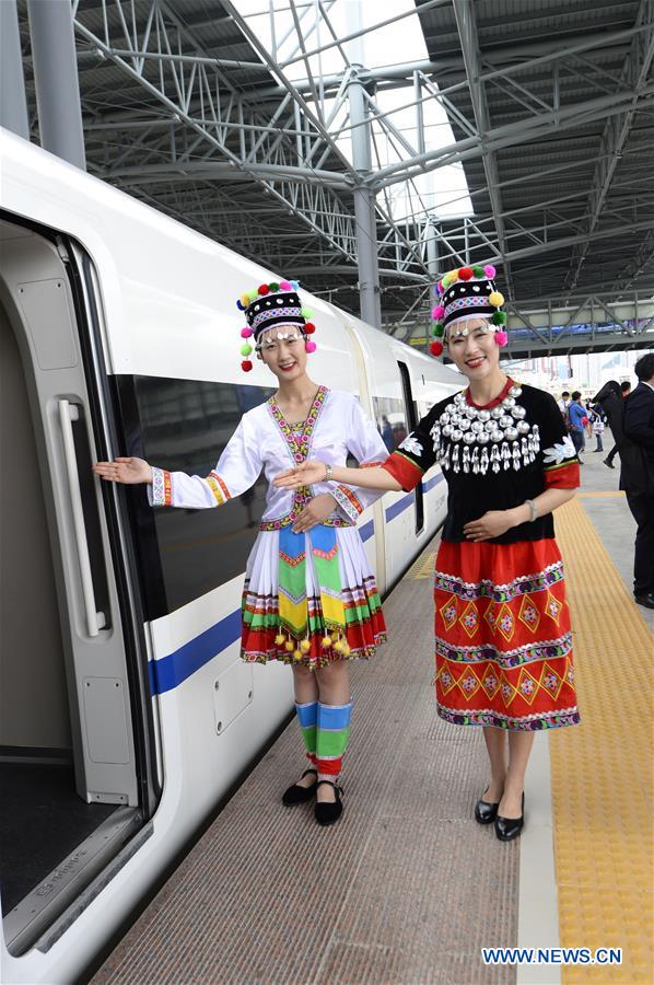 A New High-speed Train between Kunming & Dali Start Running