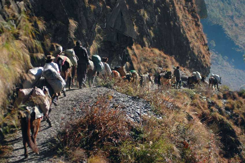 The tea horse trading road gangs walkin on a cliff in Wuli Village Yunnan