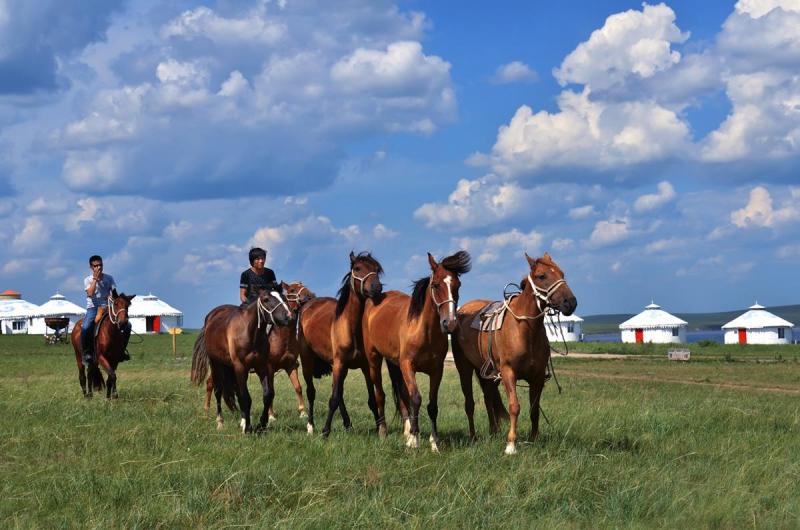 The Hulunbeir Grassland 