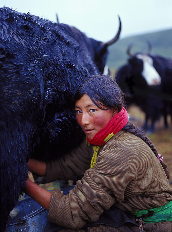 Tibetan Girl