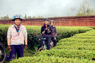 Robert and Dutch Clients Biking to Guilin Tea Plantation in 2016