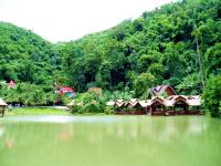 tropical lakes and plants