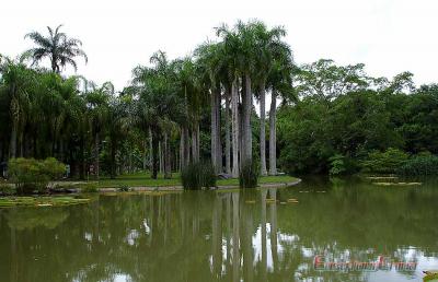 Tropical Botanic Garden