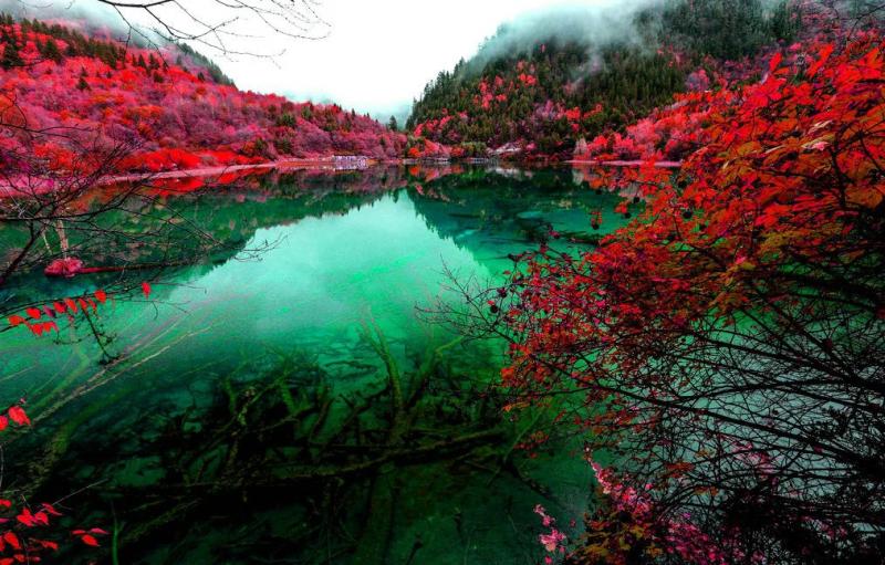 Trips to Jiuzhaigou in autumn