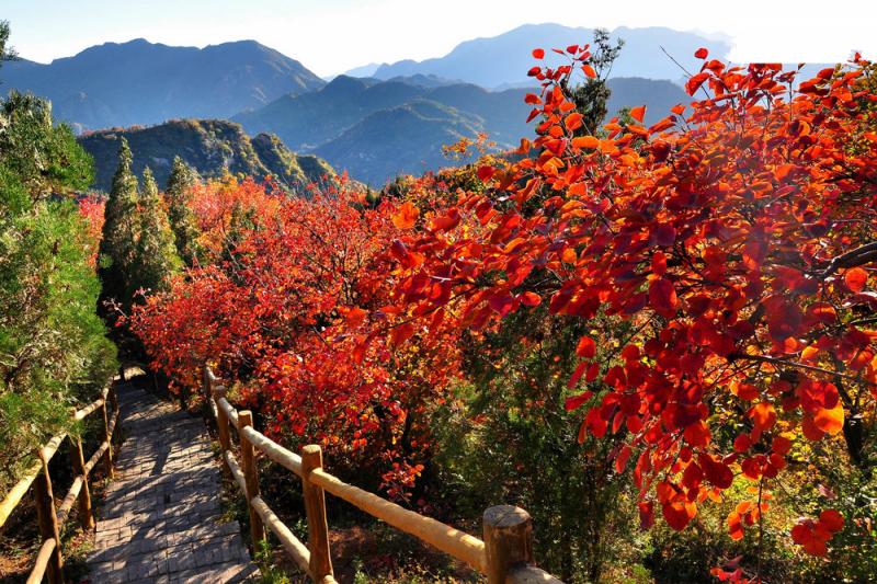 Best time to visit Xiangshan Park Beijing