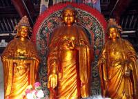 buddhas in the temple