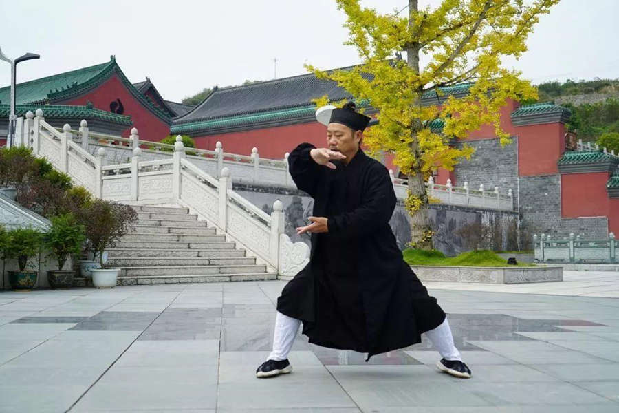 Wudang Tai Chi movements