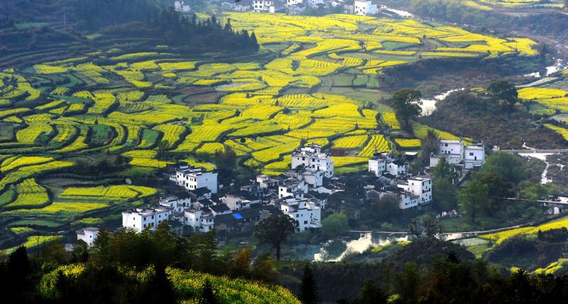 Wuyuan Villages