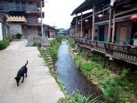 wooden houses