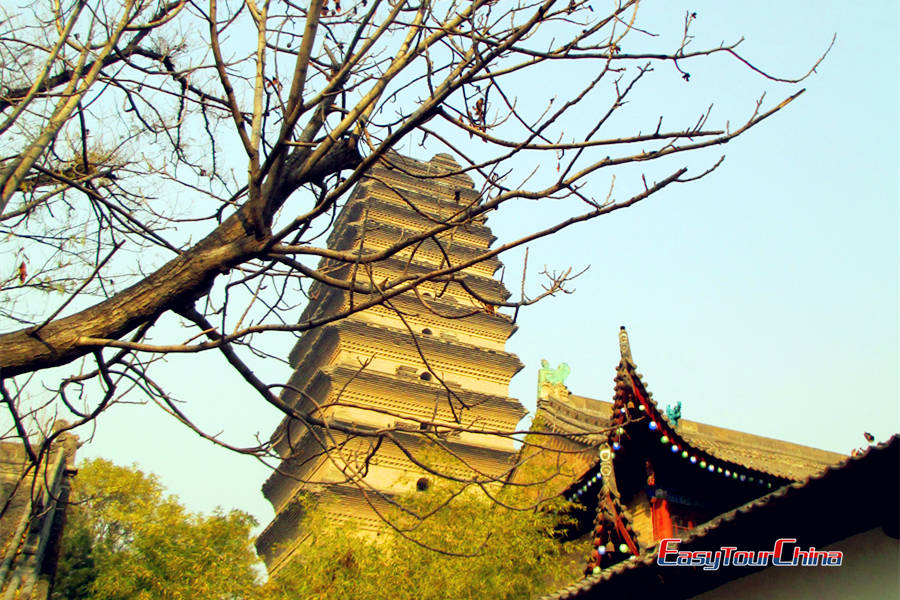 small wild goose pagoda