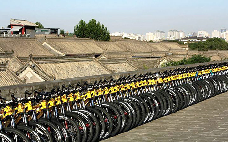 Xian Cycle Tour,China Bike Tours, Bike Tours in Xian
