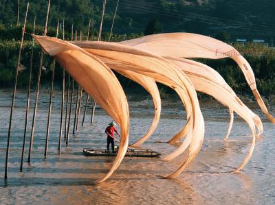 capture Xiapu's boatman rowing the boat