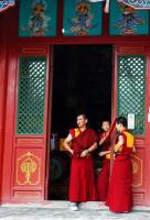 monks in the temple