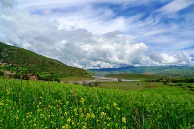 Xinduqiao Landscape in Spring
