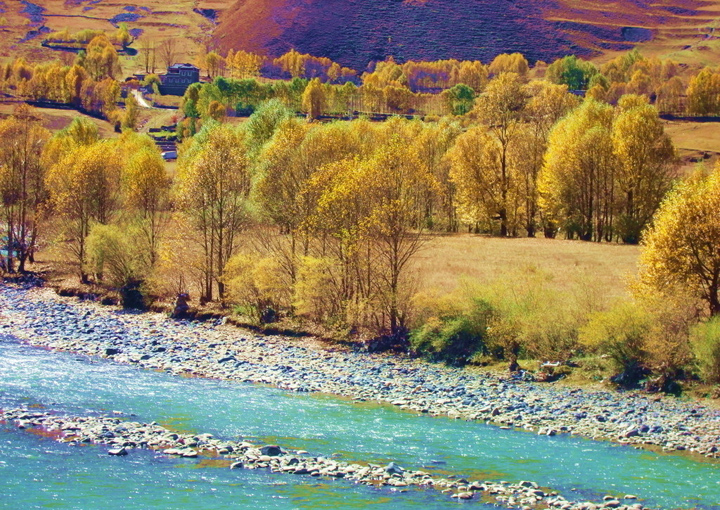 Xinduqiao Scenery