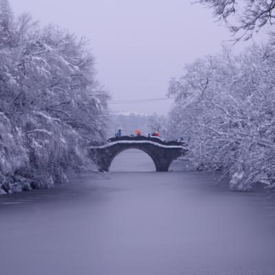 Snow-clad Xixi National Wetland Park