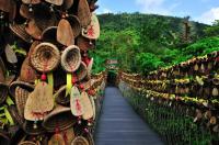hanging bridge