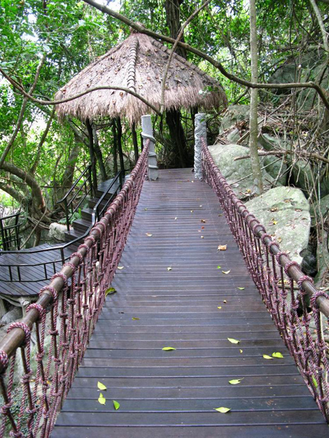 Rainforest Hanging Bridge, Sanya Attractions, Travel