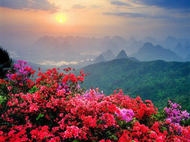 guilin yaoshan