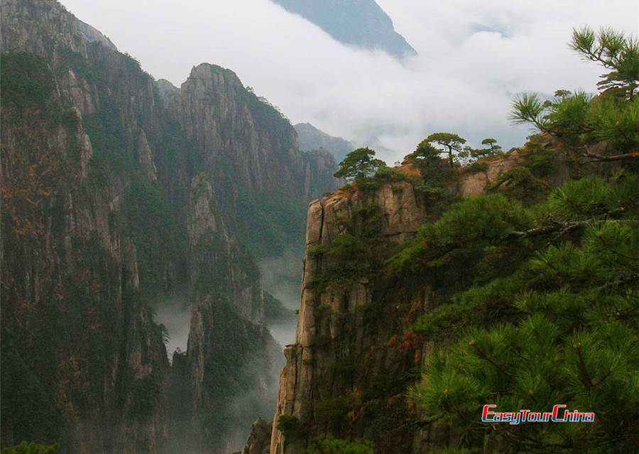 Capture the peaks of Yellow Mountain in the mist