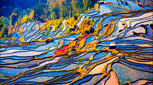 Yuanyang Rice Terraces