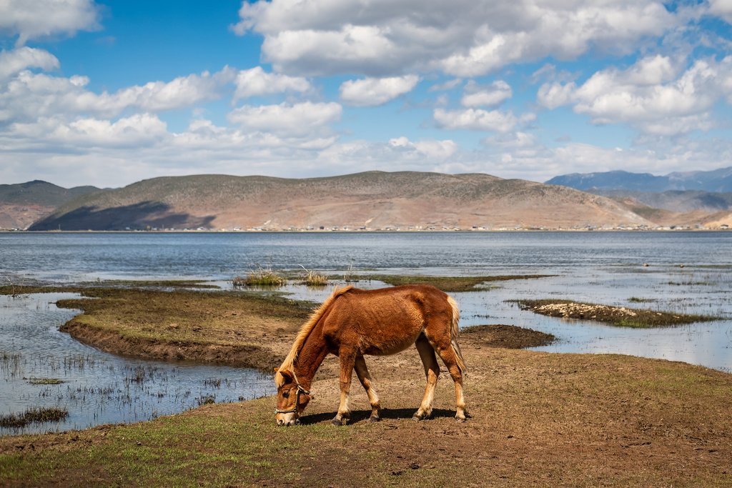 Shangri-La Cycle Tour,China Yunnan Bike Tours