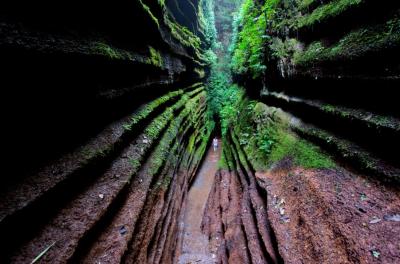 Zhangjiajie Grand Canyon (Zhangjiajie Glass Bridge)