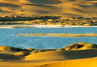 Zhongwei desert and lake landscape